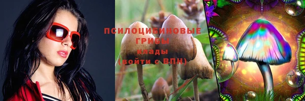 spice Волосово