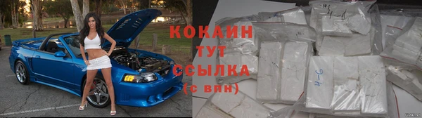 ПСИЛОЦИБИНОВЫЕ ГРИБЫ Вязьма