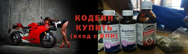 винт Вяземский