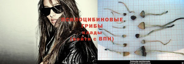 spice Волосово