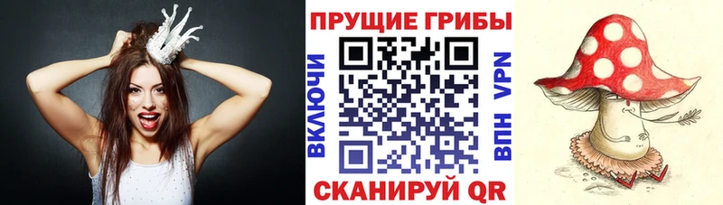 Псилоцибиновые грибы Magic Shrooms  Киреевск 